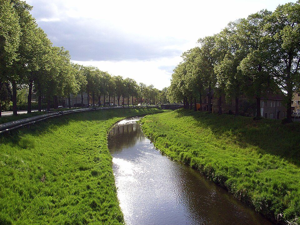 Zittau - Seifhennersdorf (gelber Strich)