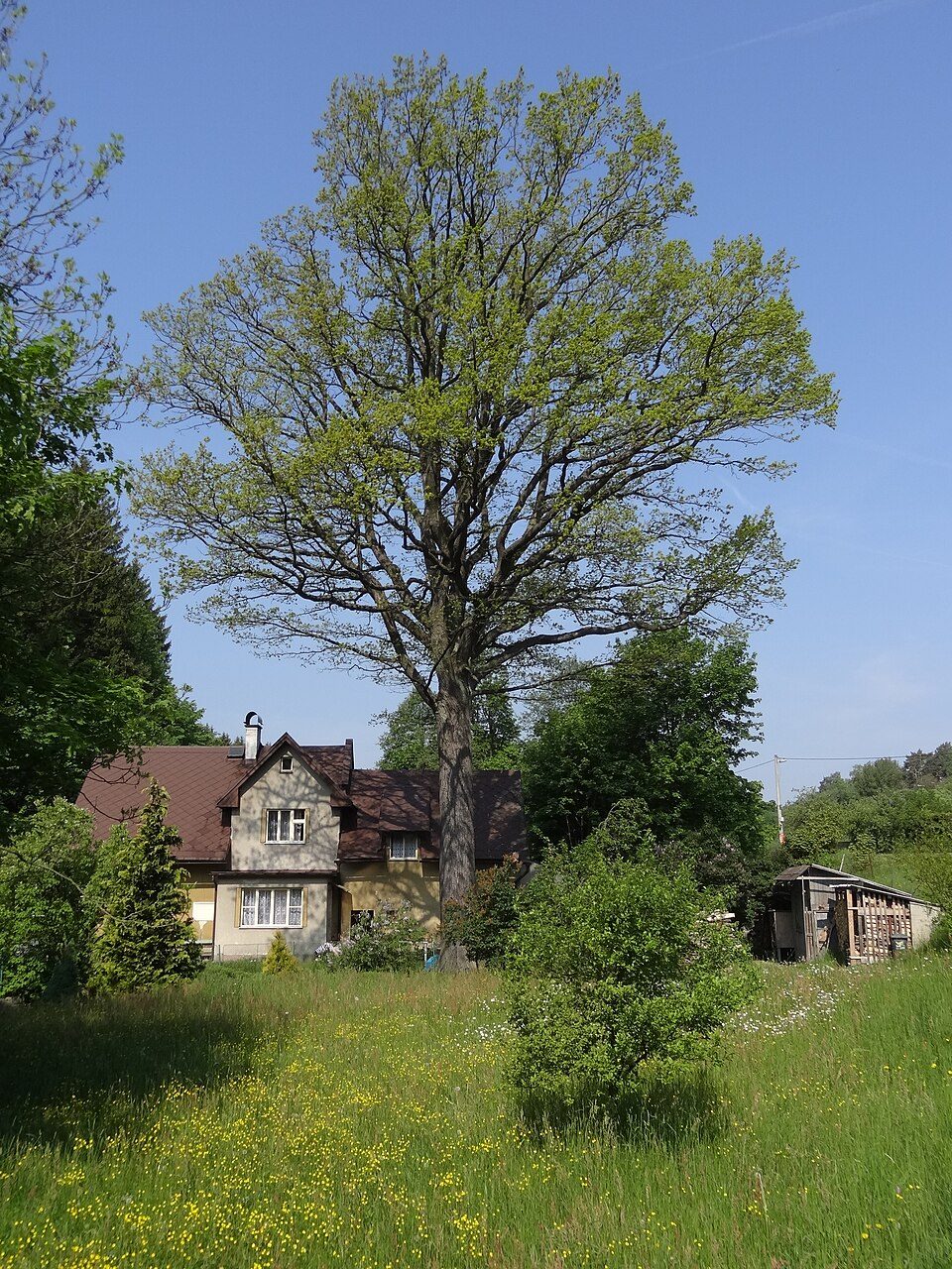 Cesta Karoliny Světlé