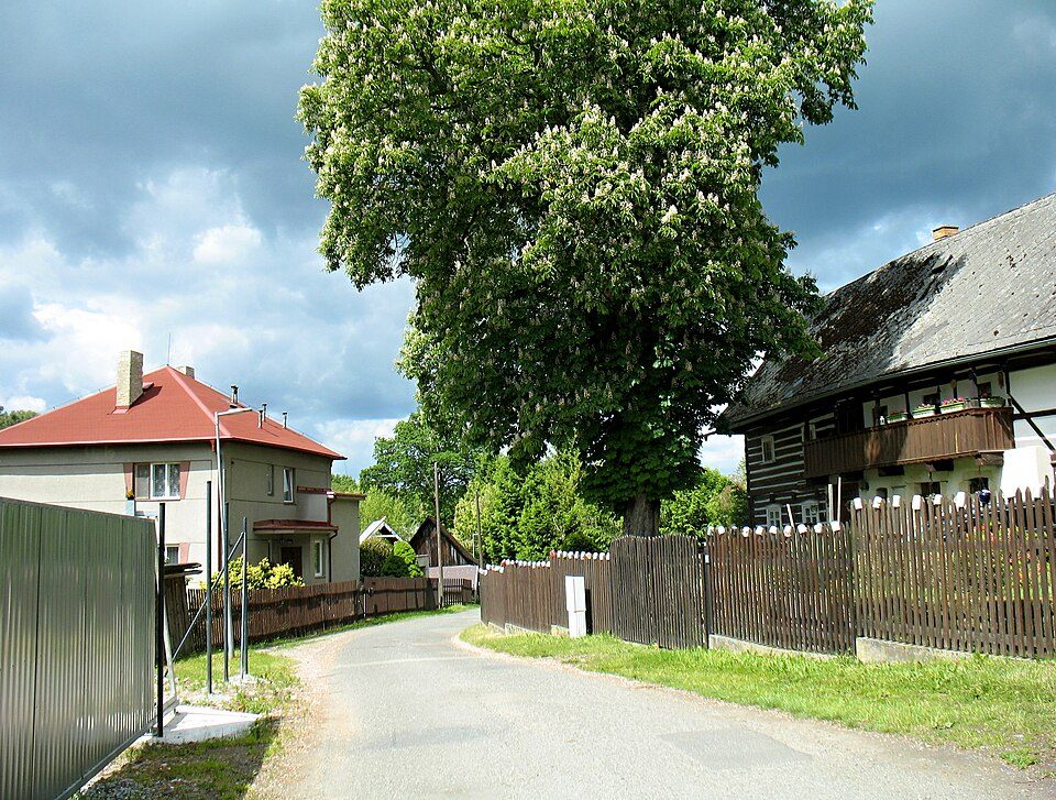 NS Zákupy