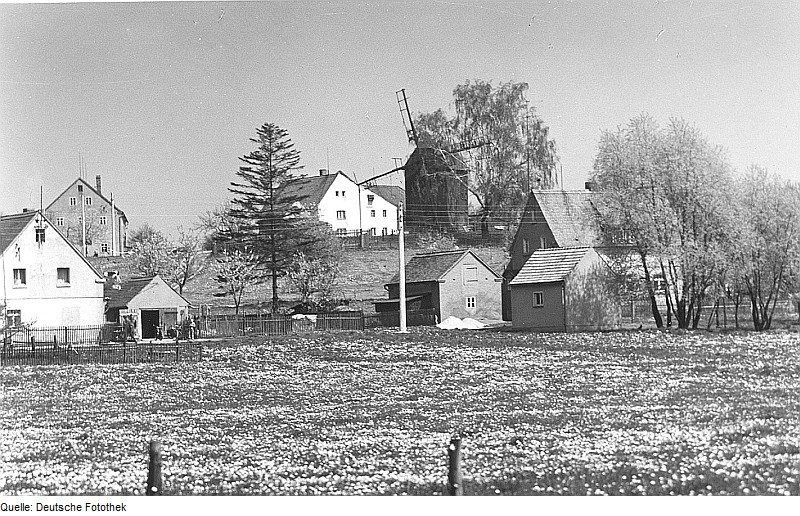 Oberseifersdorf - Jauernick (grüner Strich)