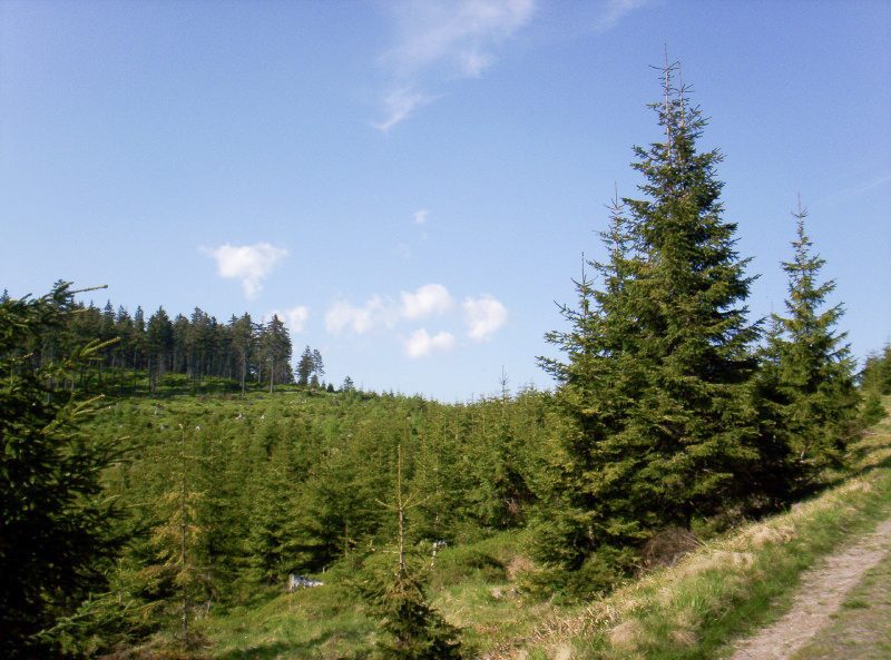 Przełęcz Sucha - Przełęcz Gierałtowska