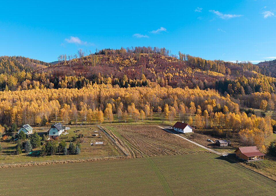 Dłużka