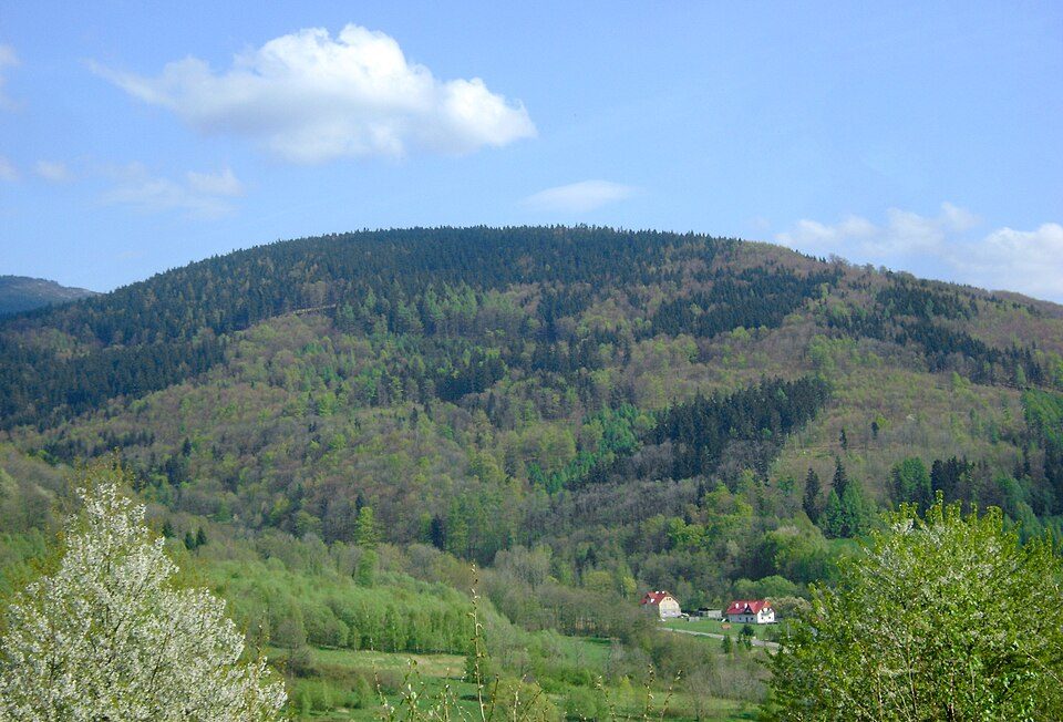 Przednia