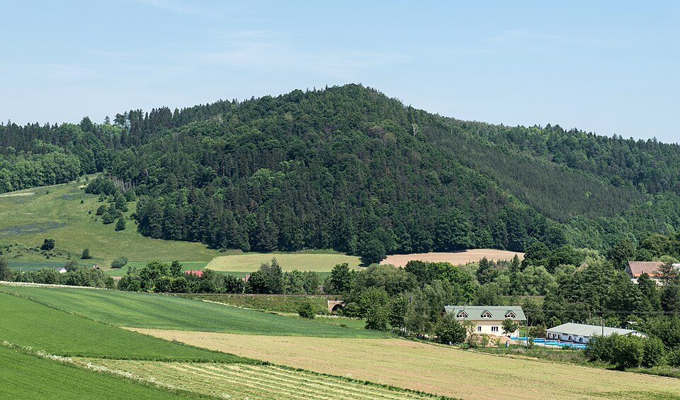 Sośnina