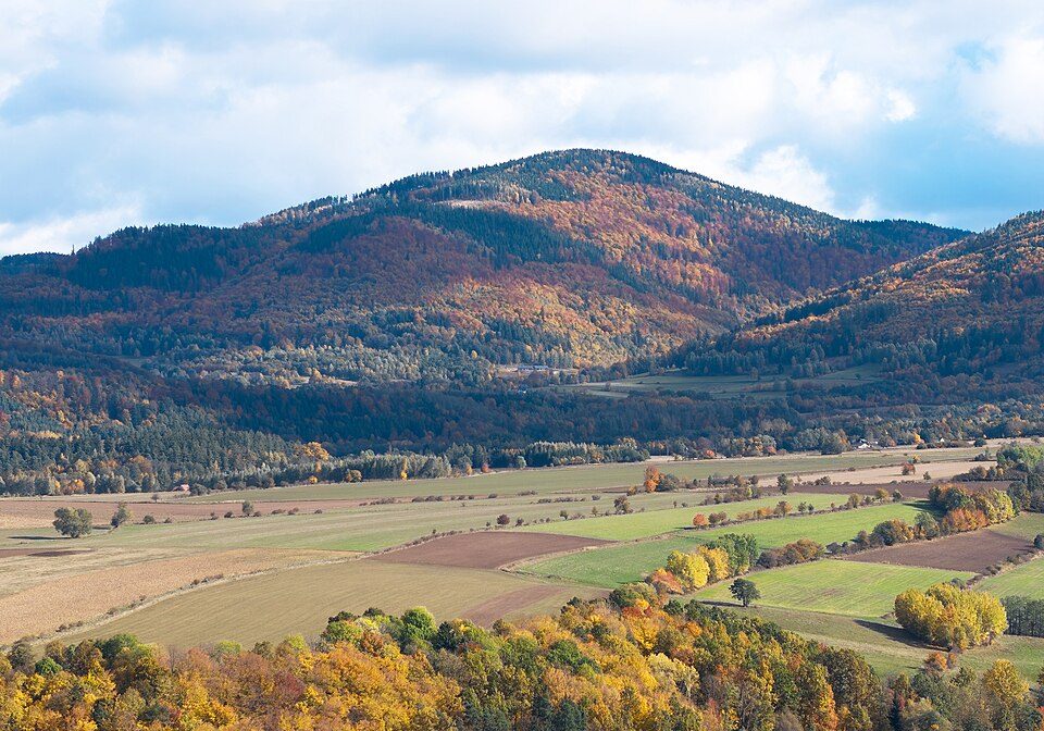Suchoń