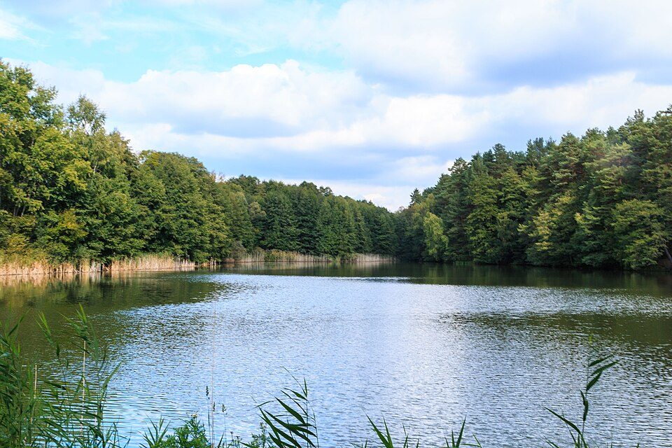 Novodvorský rybník II