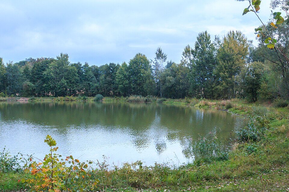 Ještědka