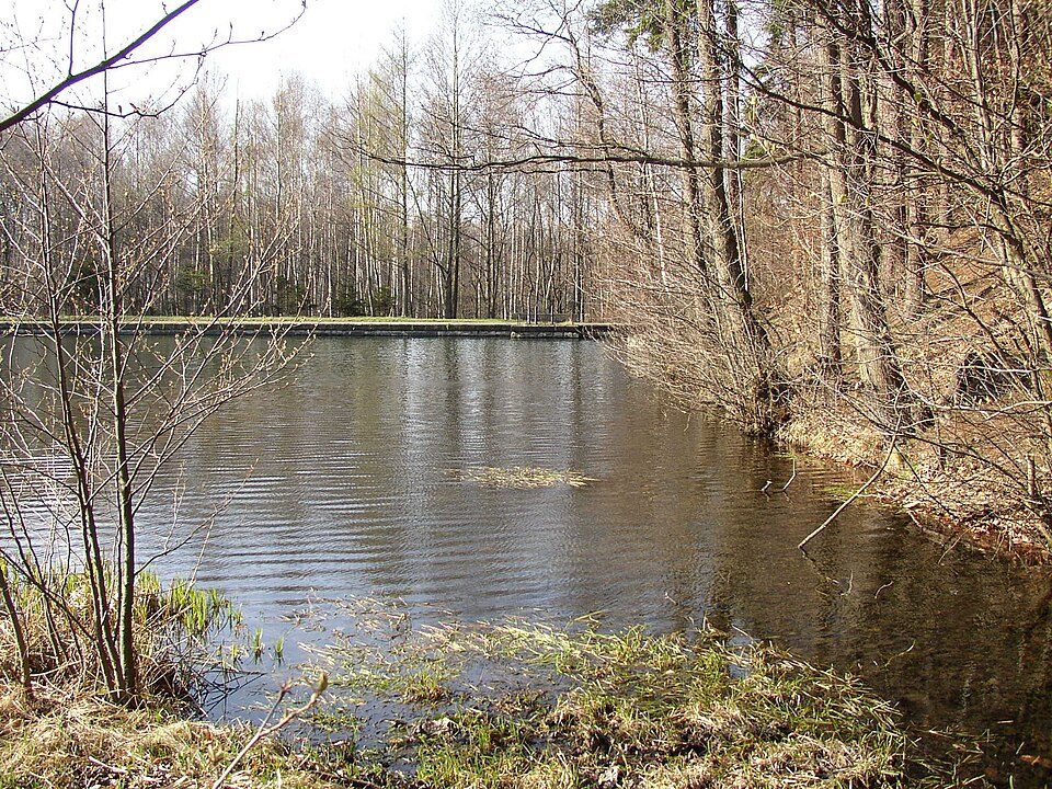 Lesenská přehrada