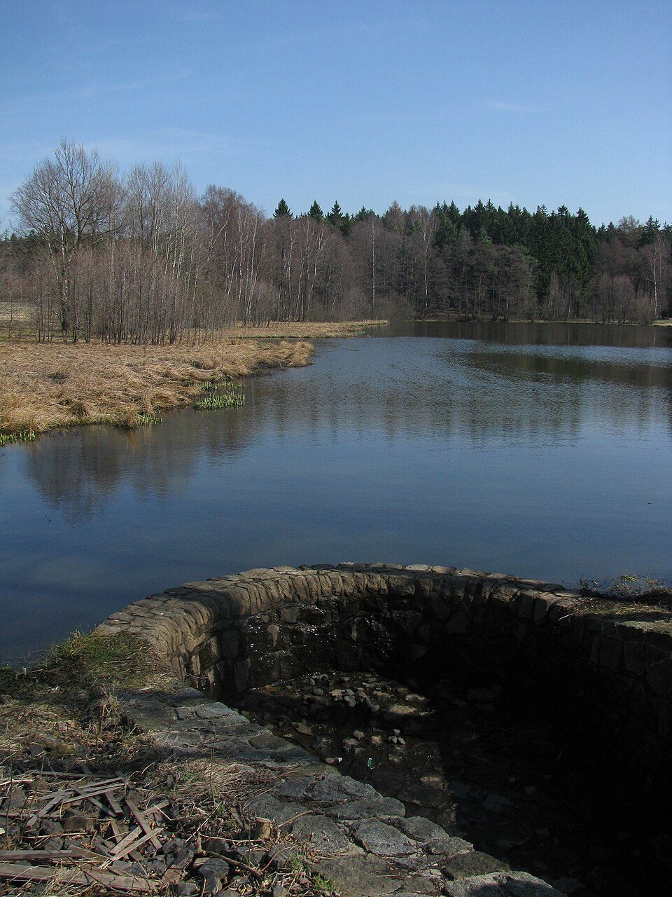 Racek