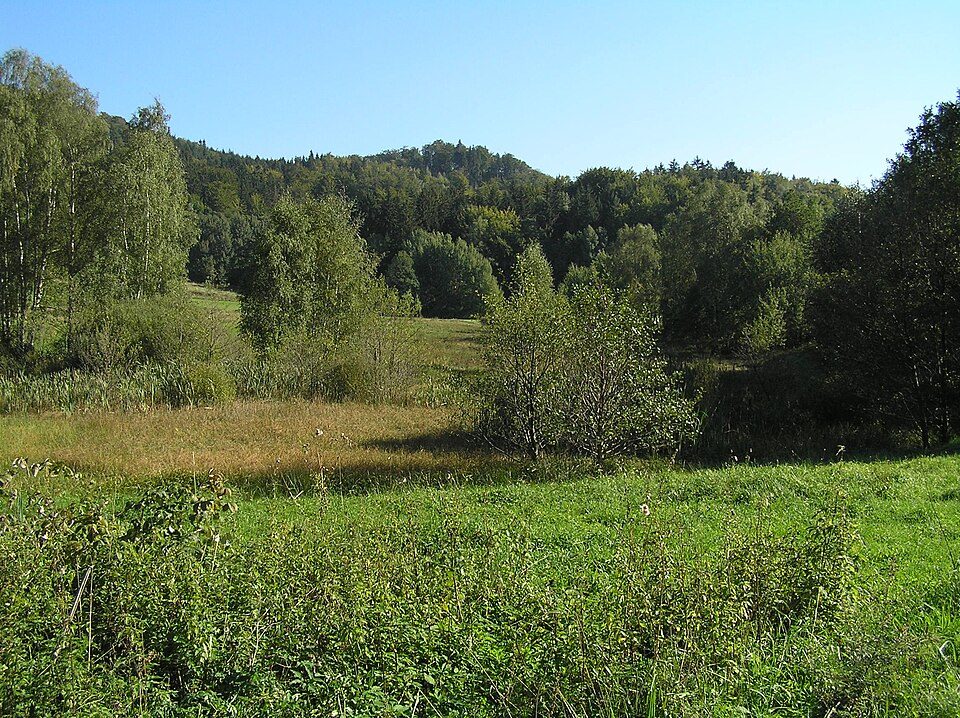 Fojtecký mokřad