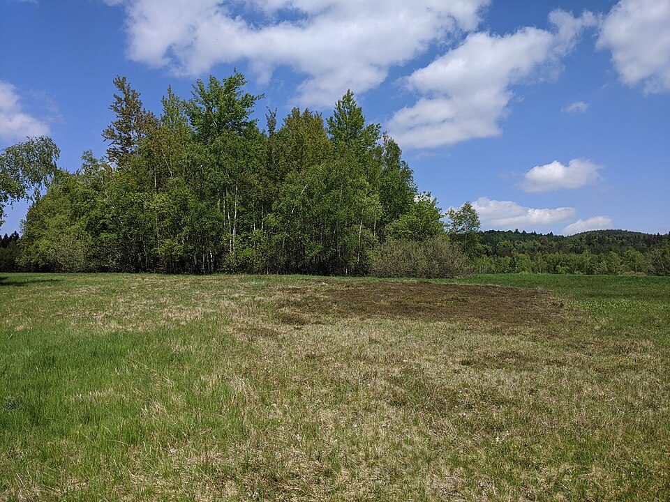 LG-Grüner Gegenschrägstrich - Naturlehrpfad Waltersdorf