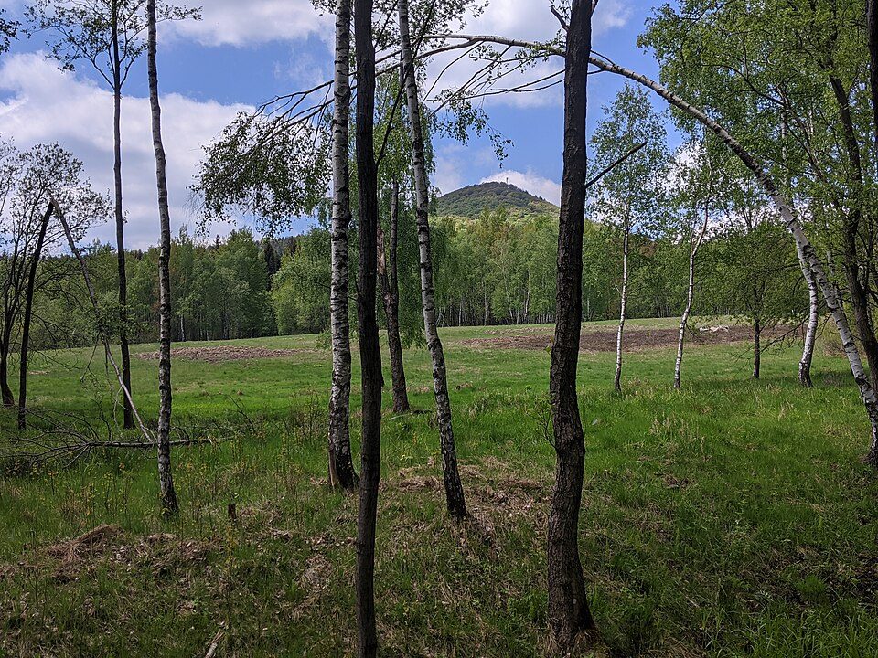 Jonsdorf - Grenze CZ (grüner Strich)
