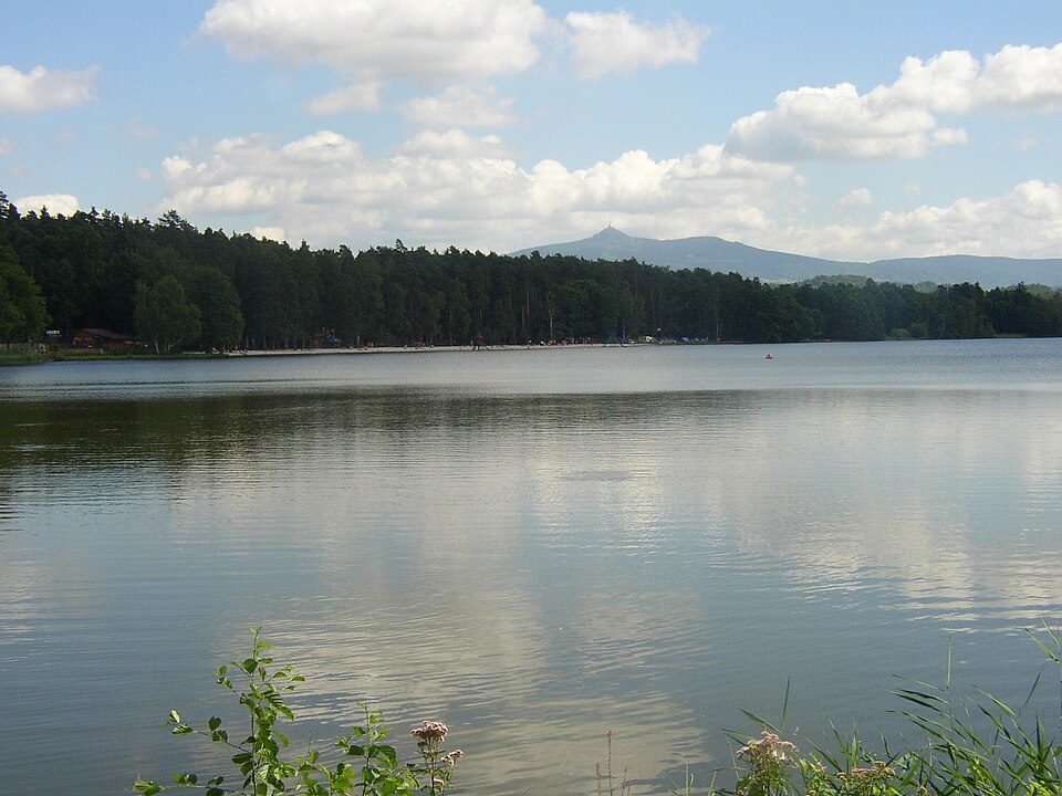 Hamerský rybník (Ploučnice)