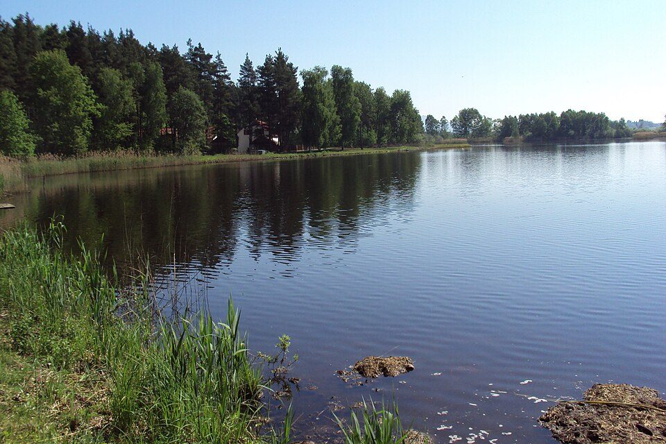 Heřmanický rybník