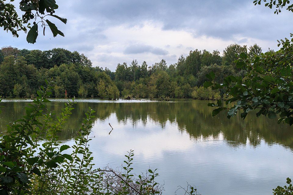 Mokřad
