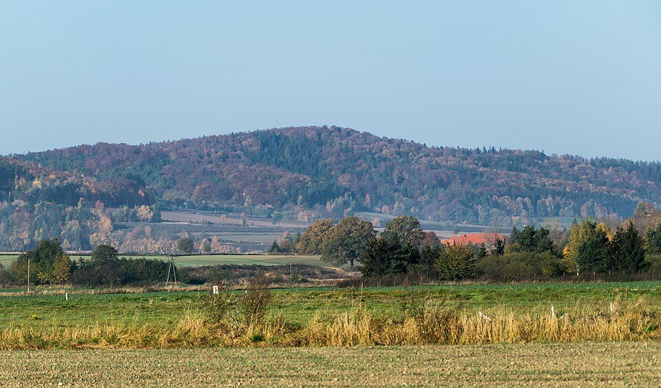 Dębowa