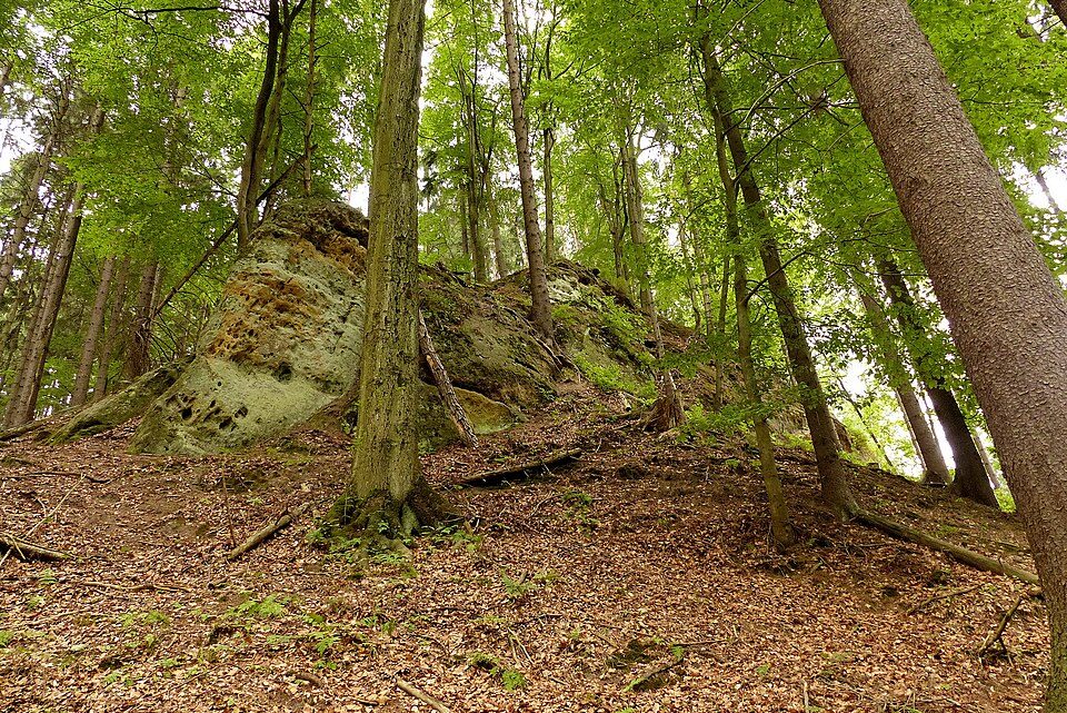 Zbyny (hrad)