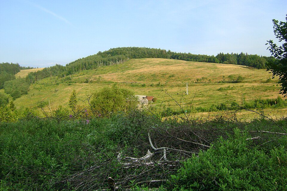 Miłoń
