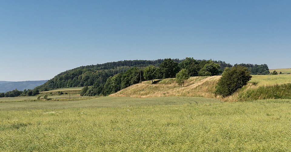 Czerwoniak