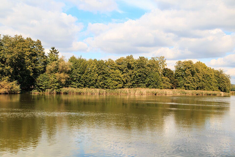 Rybník Hvězdov III