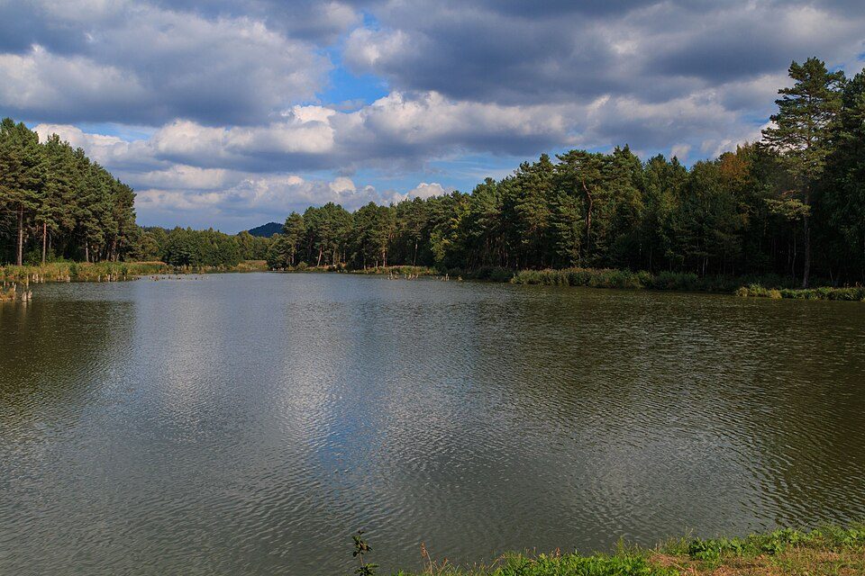Rybník Hvězdov IV