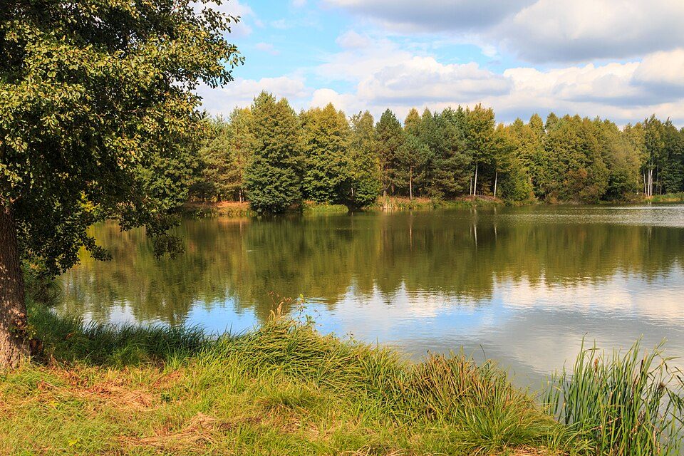 Novodvorský rybník I