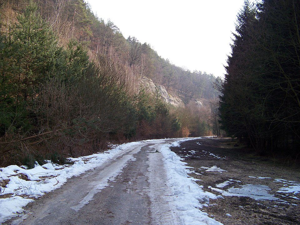Stráně Truskavenského dolu