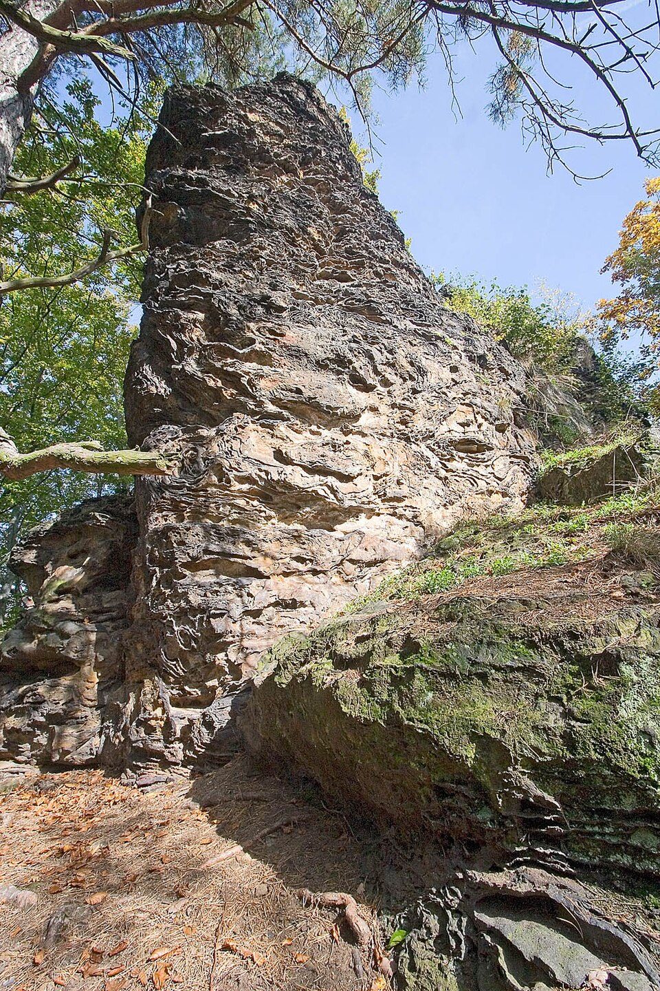 Špičák u Střezivojic