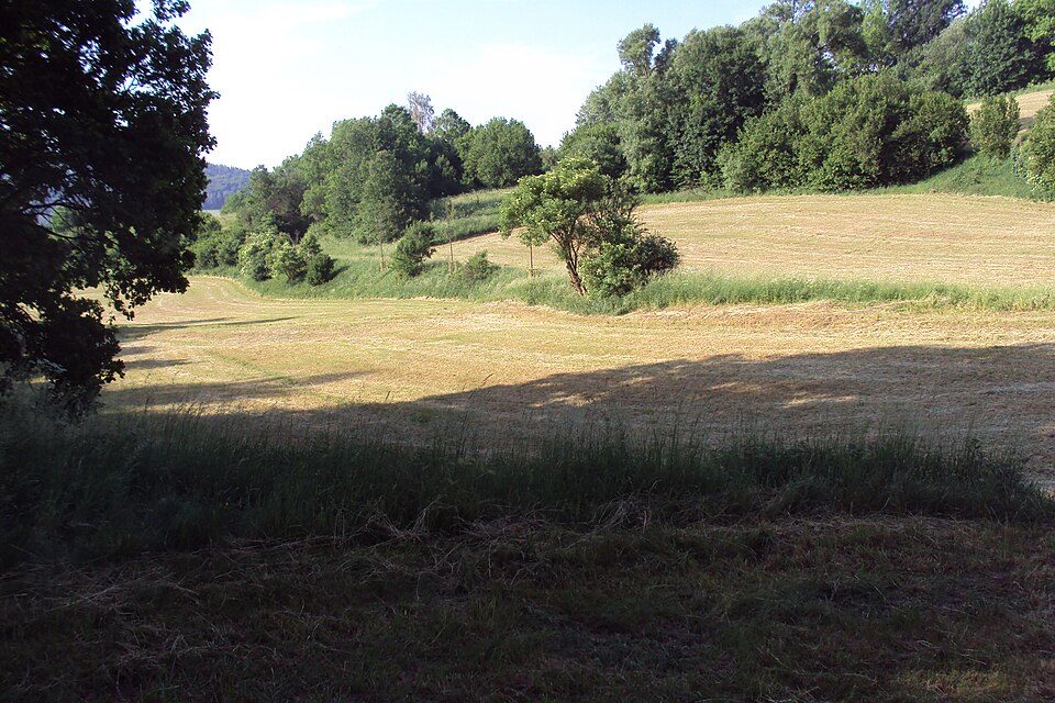 NS Doubsko-Kokořínsko