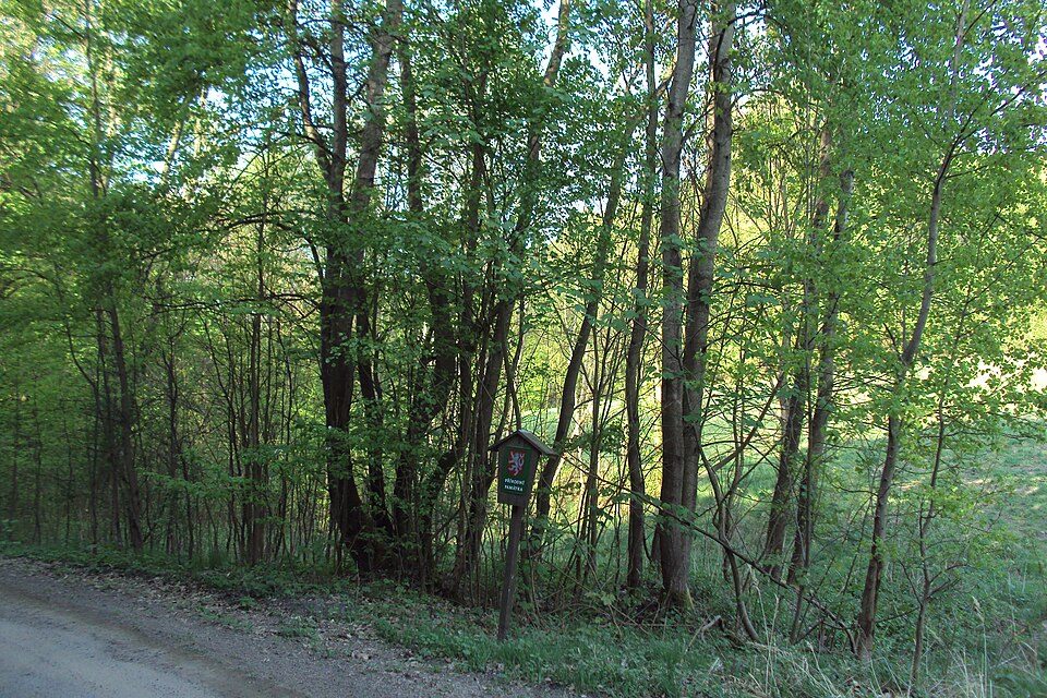 Osinalické bučiny
