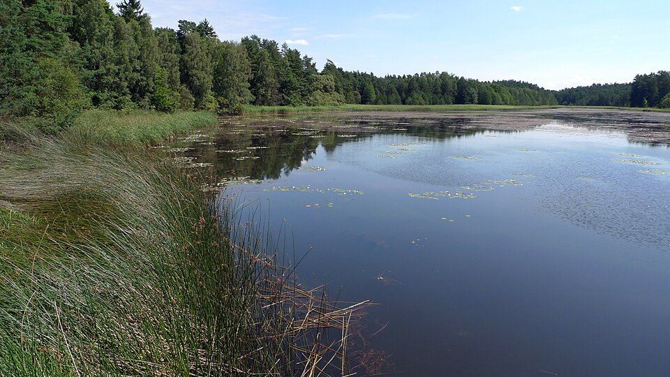 přírodní rezervace Hradčanské rybníky