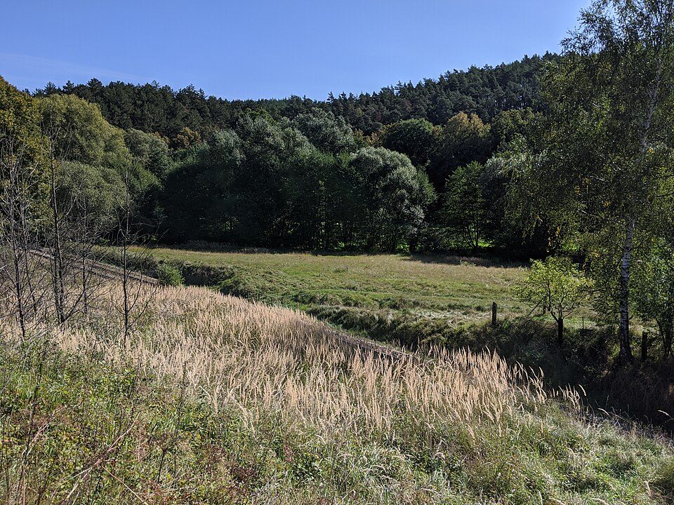 spojka modrá - zelená
