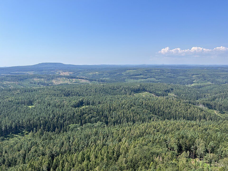 Grüner Punkt, Sächsische Schweiz