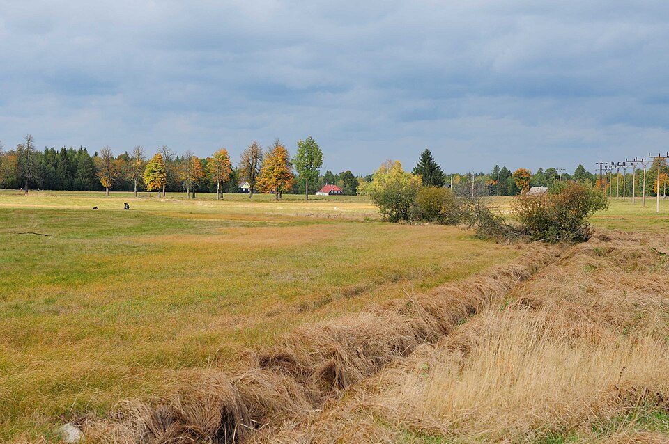 Mlýnská cesta