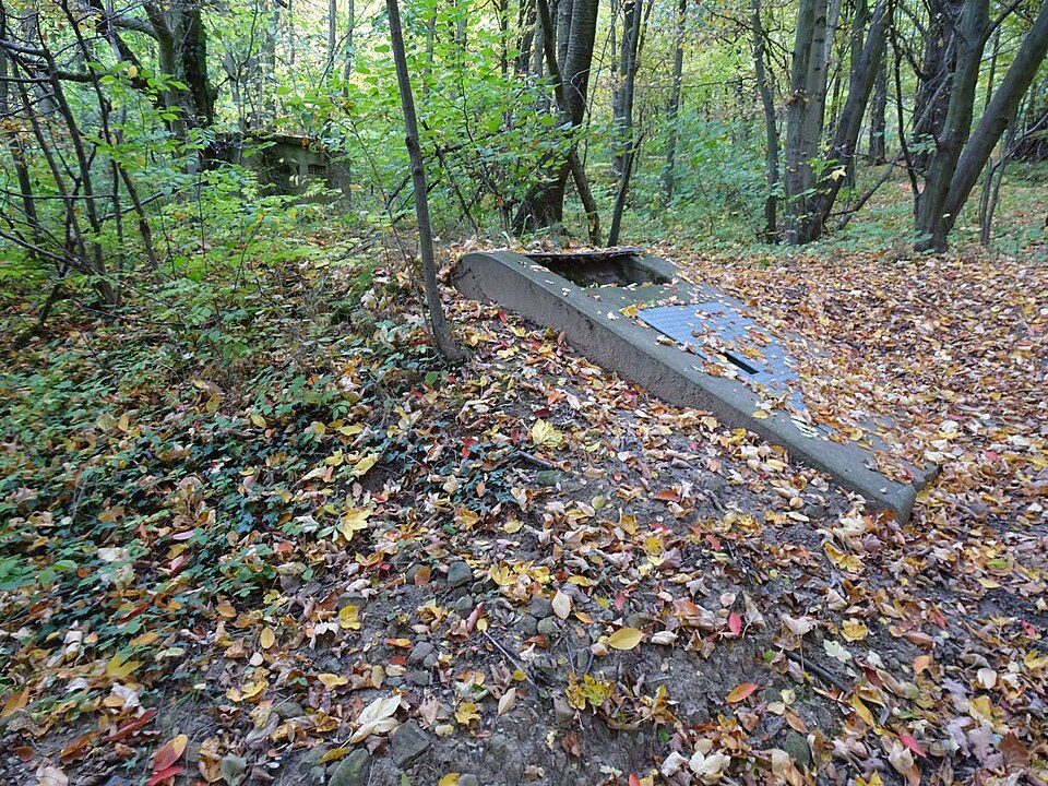 Rundweg Gelber Punkt (Graupa - Obervogelgesang)