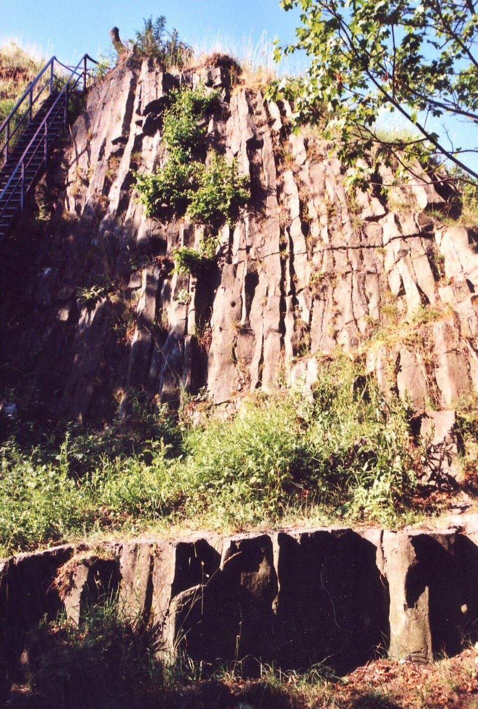 Forellensteig