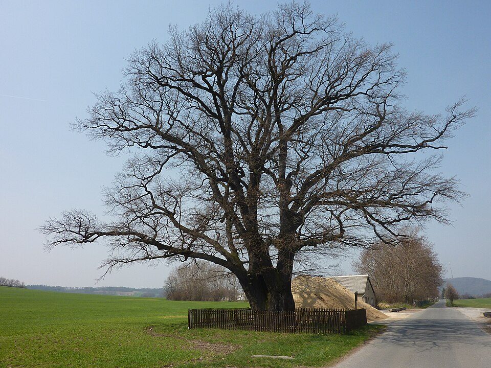 Steinbachtal - Wendisch Paulsdorf (gelber Strich)