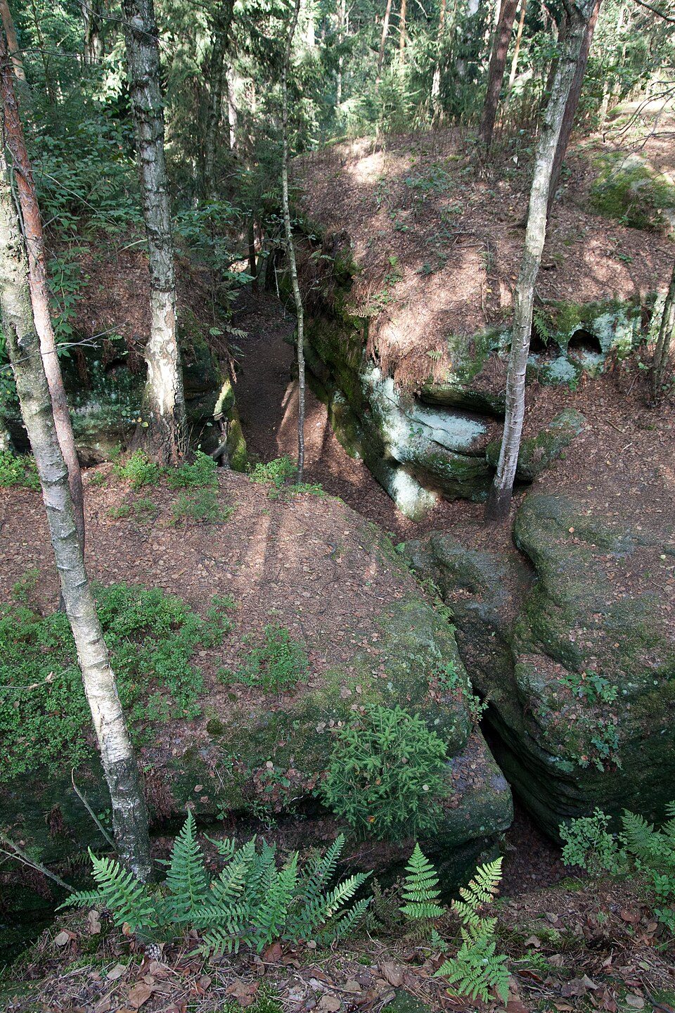 Rundwanderweg Blauer Punkt