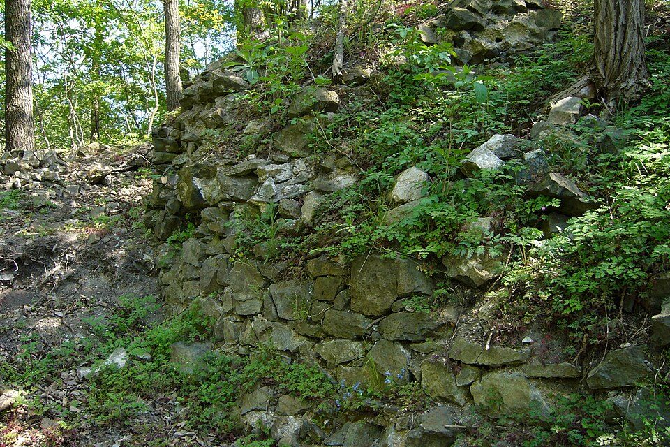 Mojžíř (hrad)