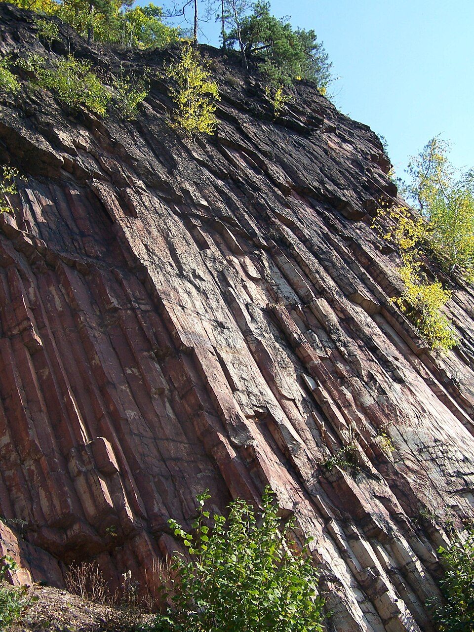 Ścieżka przyrodniczo - geologiczna Wokół Wielisławki