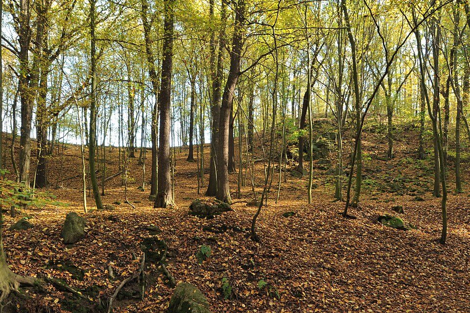 Rundweg Spargründe