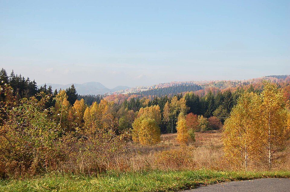 Osówka