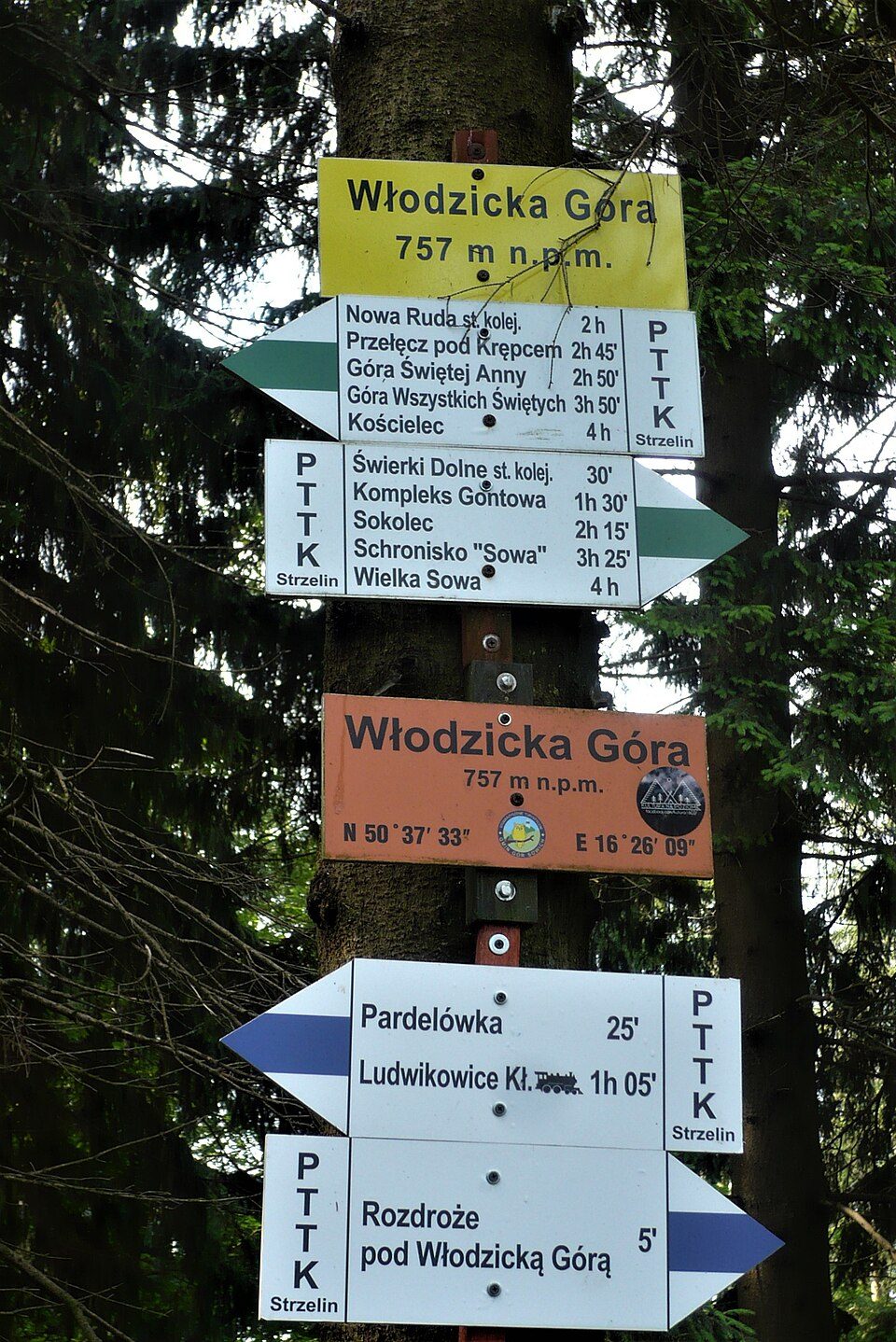 Pętla Nietoperz (12 km)