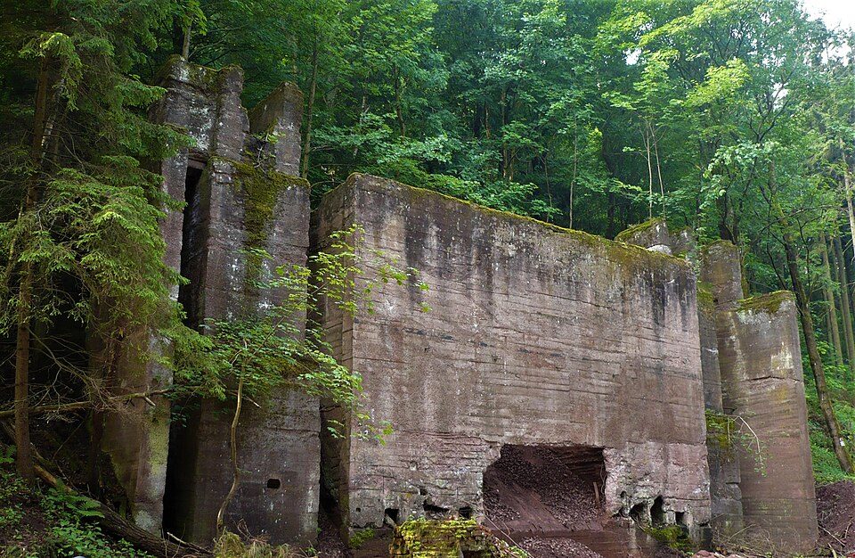 Pętla Nietoperz (12 km)