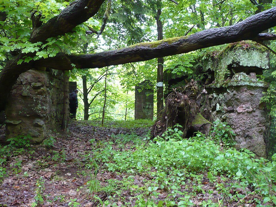 Pętla Nietoperz (12 km)