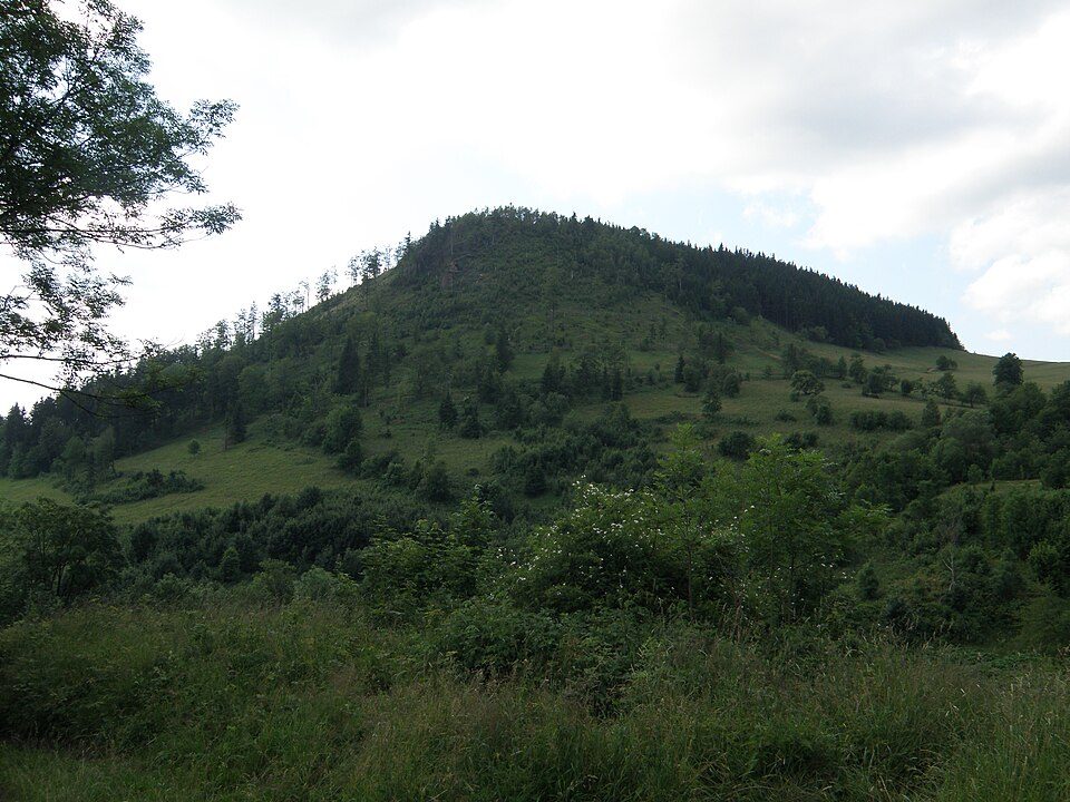 Gomólnik Mały