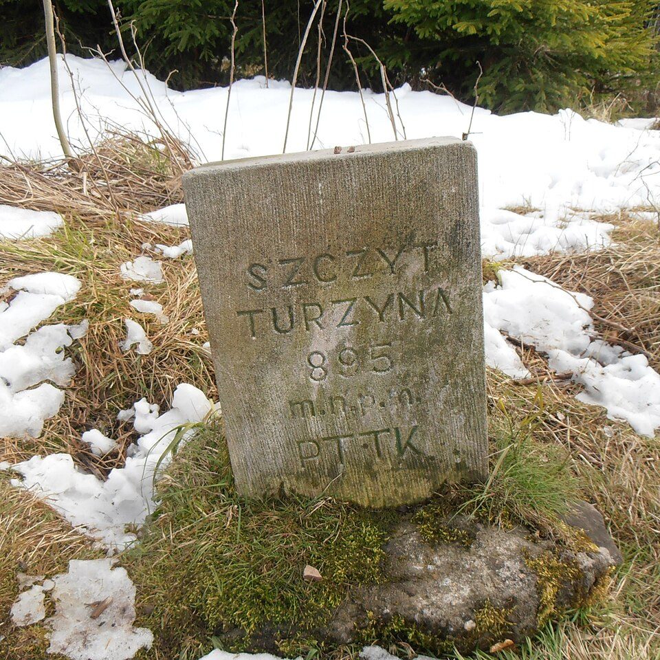 Turzyna