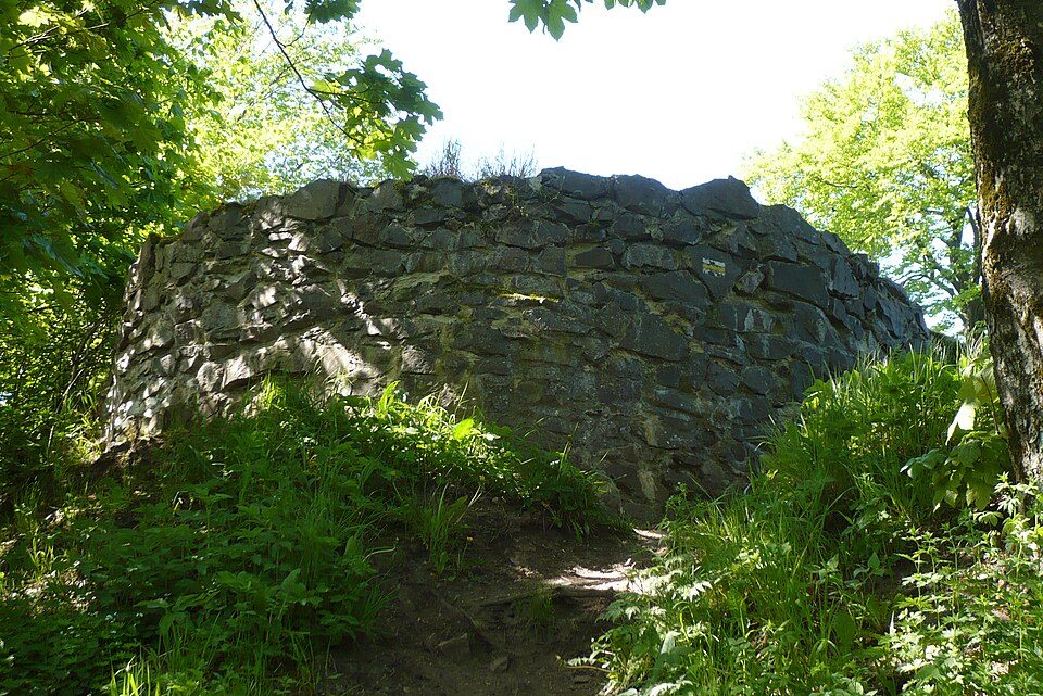 Rogowiec