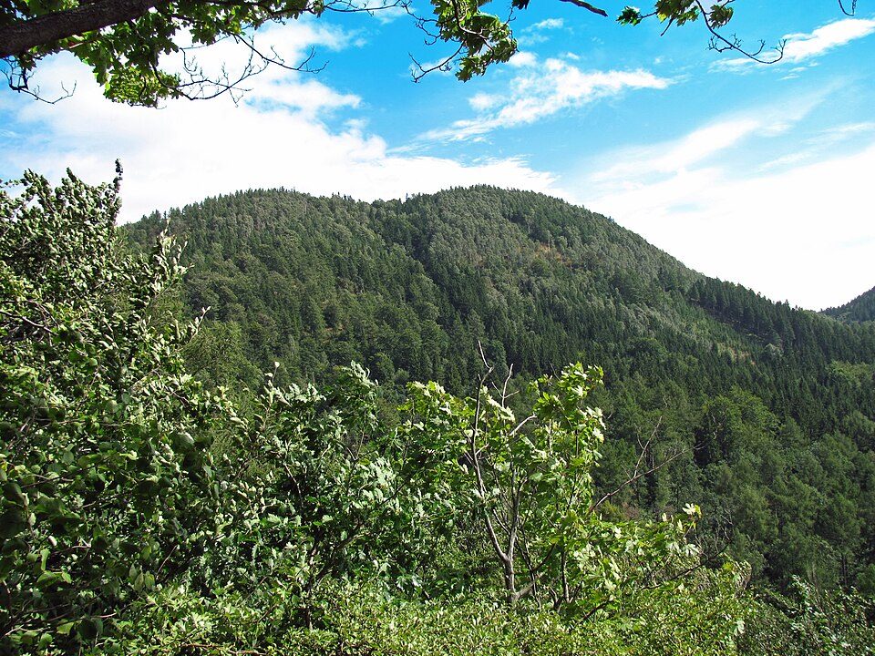 Kozioł