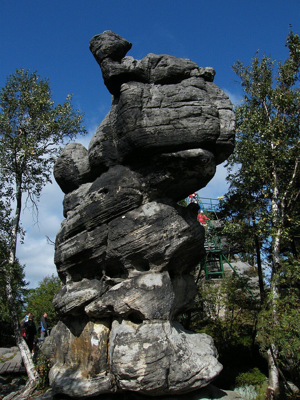 Szlak zielony